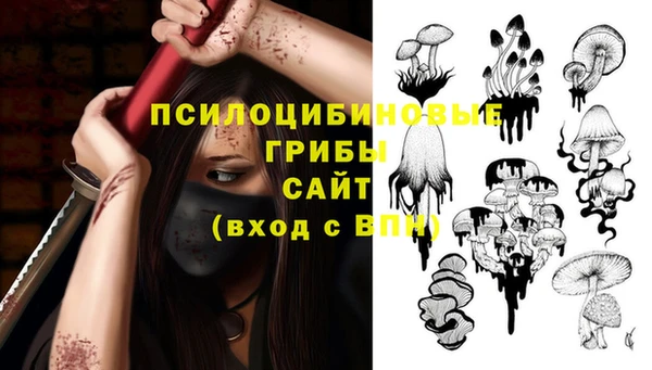 mix Кодинск