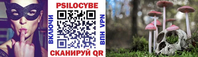 Псилоцибиновые грибы Psilocybe  Невинномысск 